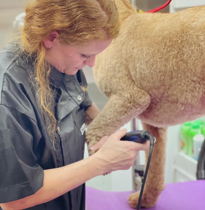 Ashleigh bathing or rinsing a dog in the tub