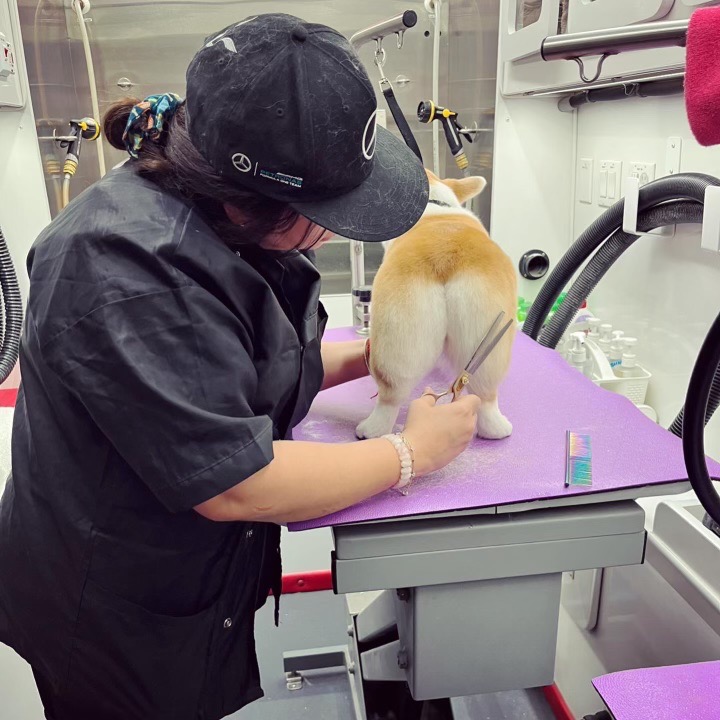 Divya smiling with a freshly groomed dog in the mobile grooming van