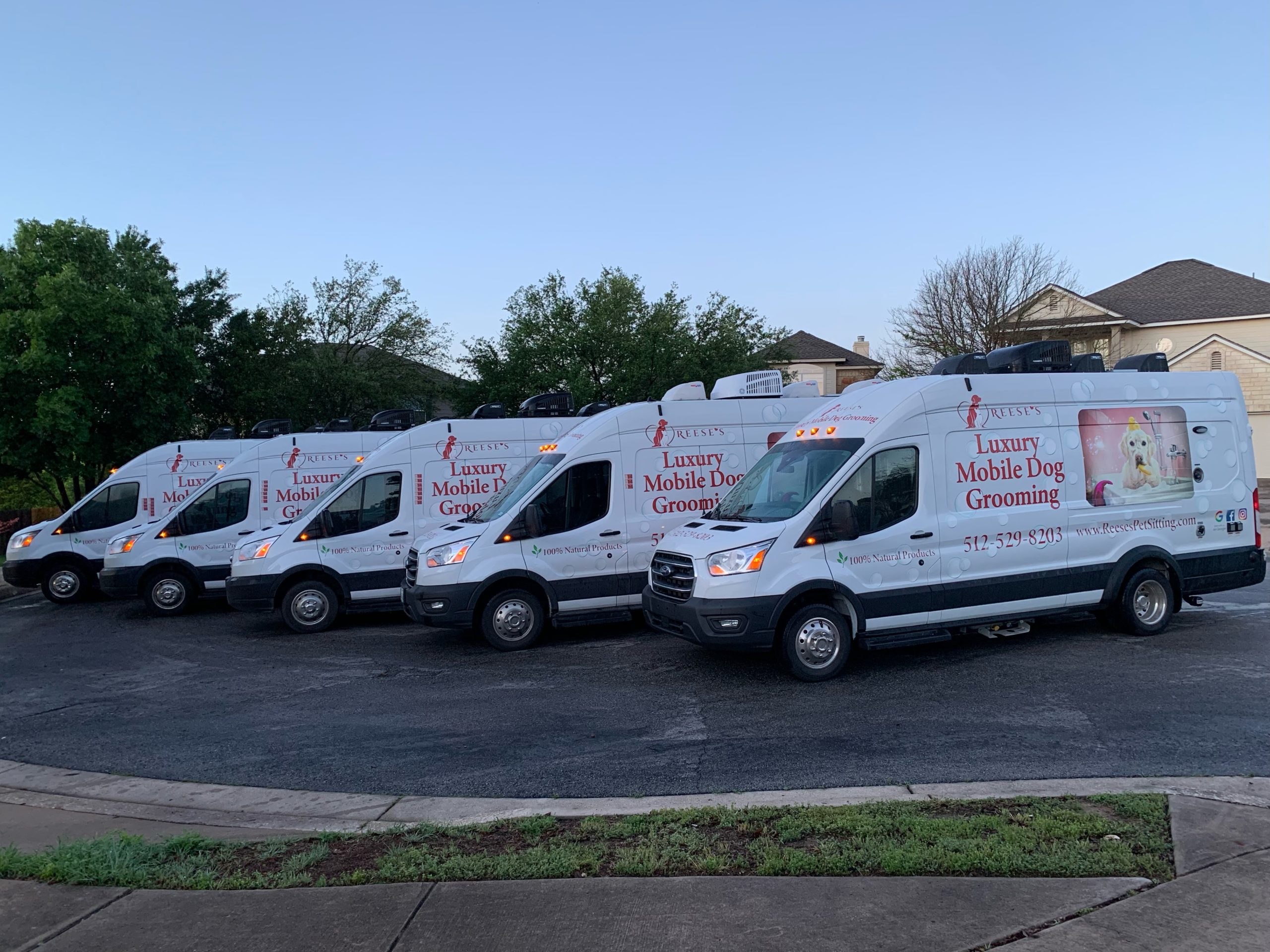 Reese's Luxury Mobile Grooming franchise vans