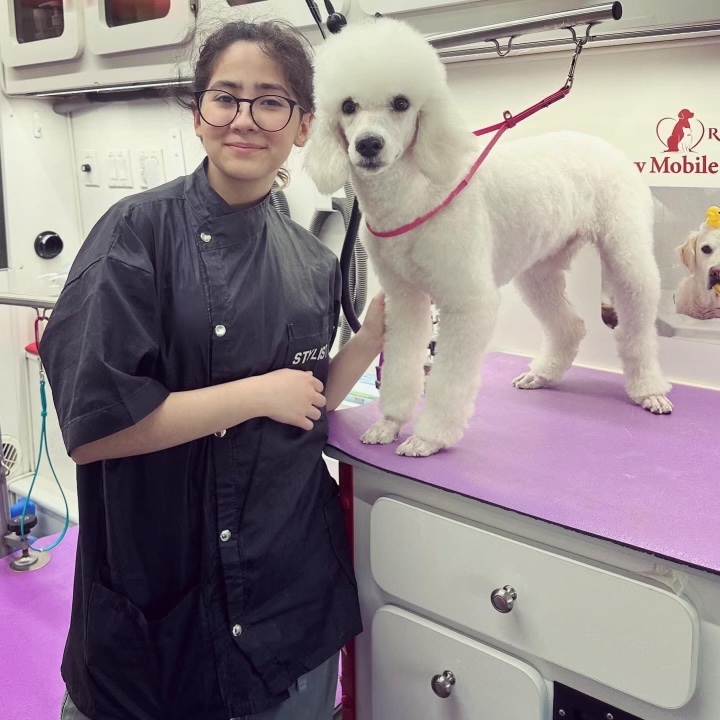 Giselle with a freshly groomed poodle on the grooming table