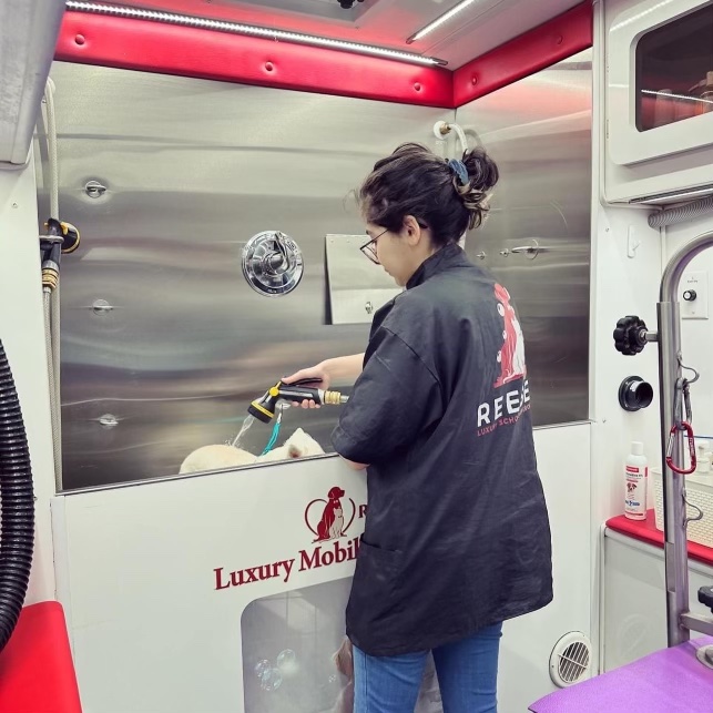 Giselle holding her graduation certificate with an instructor