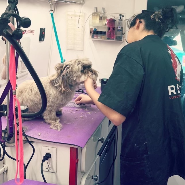 Giselle smiling with a dog on the grooming table