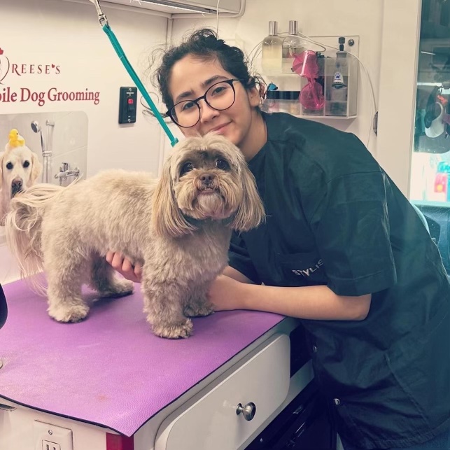 Giselle grooming a dog in the mobile unit